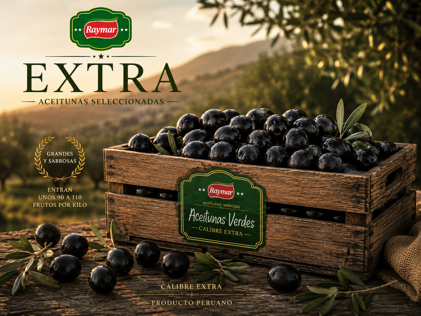 Aceitunas Calibre Extra